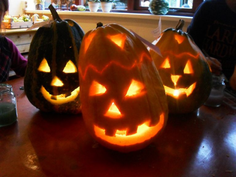 Halloweenparty bij De Groene Schuur