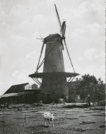 Schermafdruk 2020-06-11 10.56.13