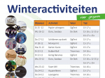 Winteractiviteiten voor jongeren