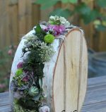 BD7ADF51-B651-4DD1-9808-7544CD0EC3C8