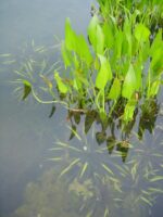 9CC0E749-9F1D-40F2-B390-B377EA4F3AE4