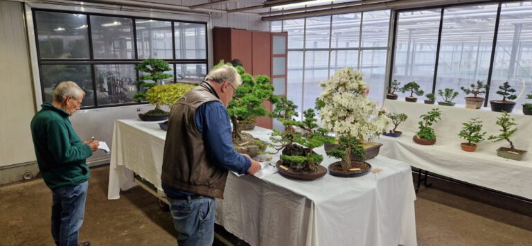 Lezing Bonsai vereniging bij Groei & Bloei Liemers