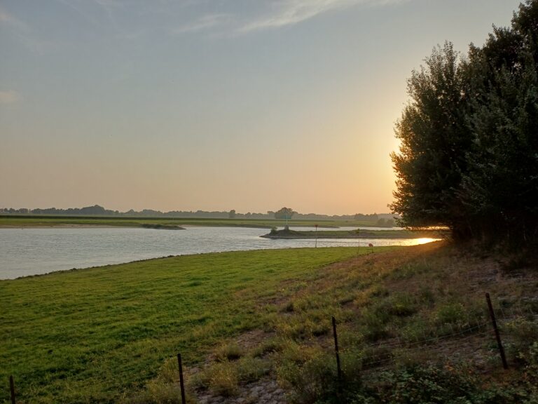 Blog Tijn: Ook journalisten mogen hun mening laten horen, zeker over Gaza