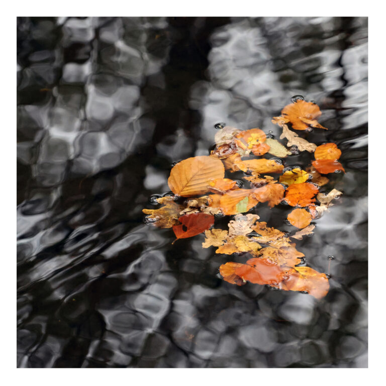 Expositie Fotokring De Liemers in Turmac Cultuurfabriek